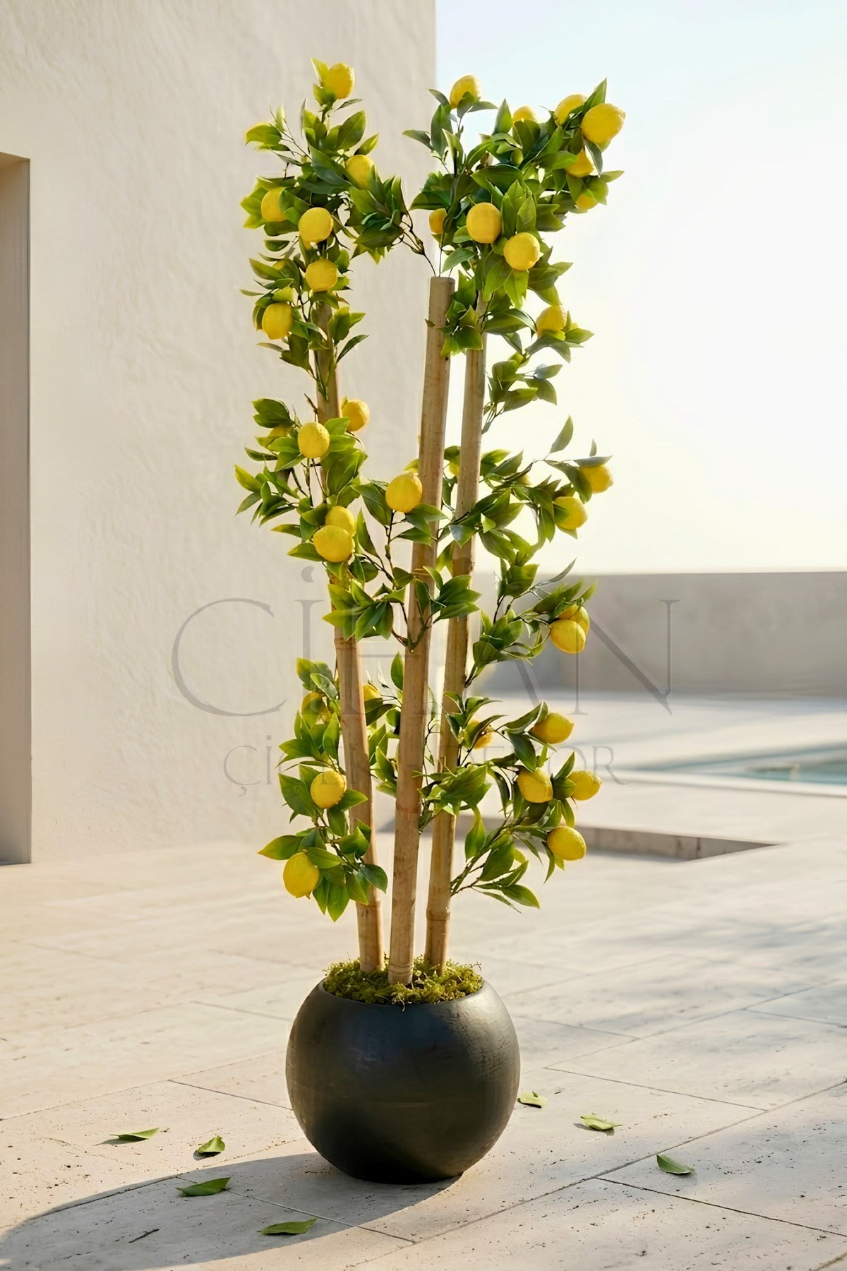 Yapay Limon Bambu Ağacı - Siyah Küre Saksılı 100 cm