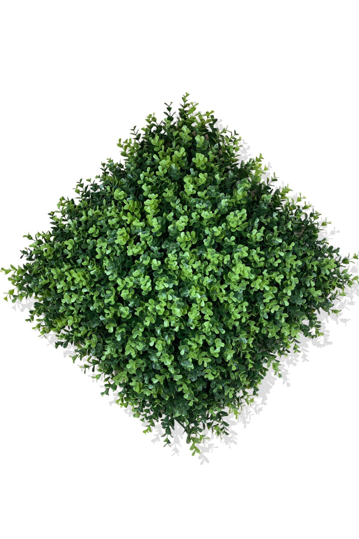 YAPAY OKALİPTUS DOLGUN BİTKİ DUVAR KAPLAMA 50X50 CM YEŞİL