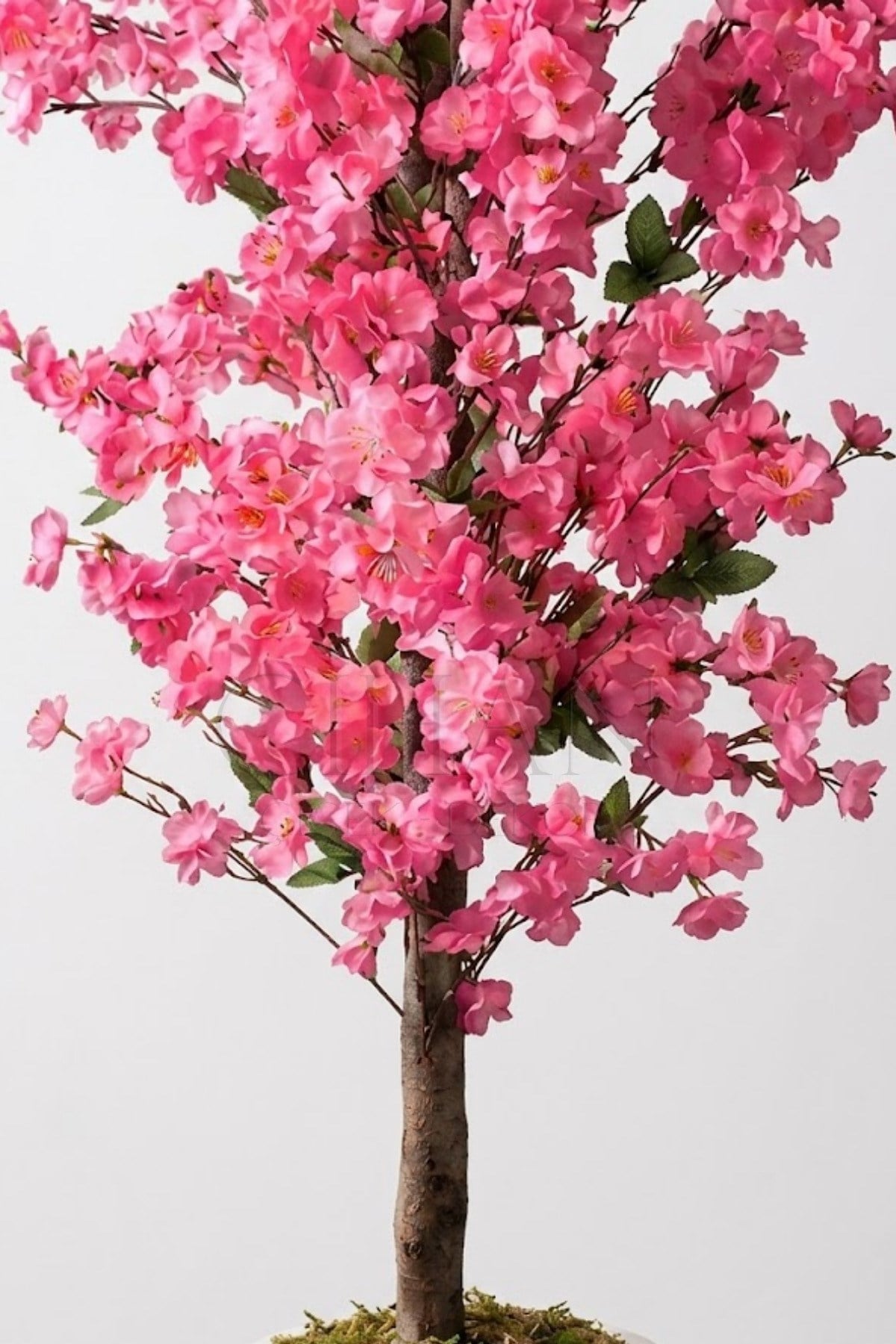 Yapay Pembe Bahar Dalı Ağacı 160 cm - Beyaz Küre Saksılı