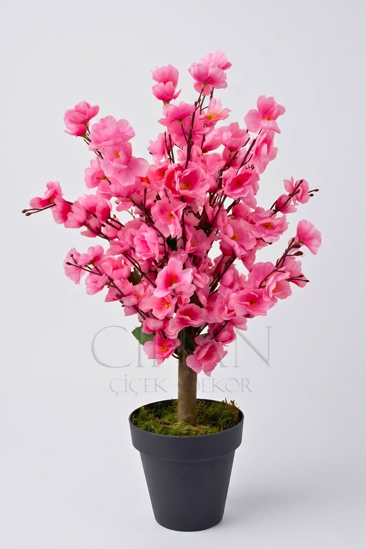 Yapay Pembe Bahar Dalı Ağacı Plastik Saksılı - 60 Cm