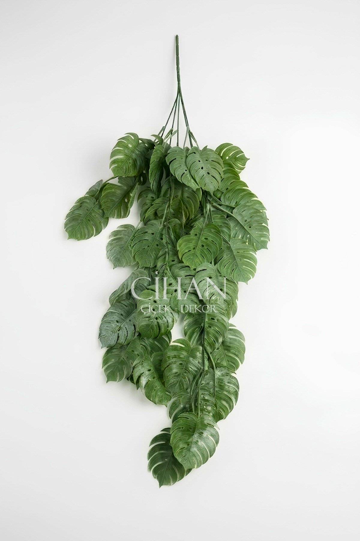 Yapay Sarkan Deve Tabanı (Monstera) Bitkisi 80 cm - Pudralı Sarmaşık