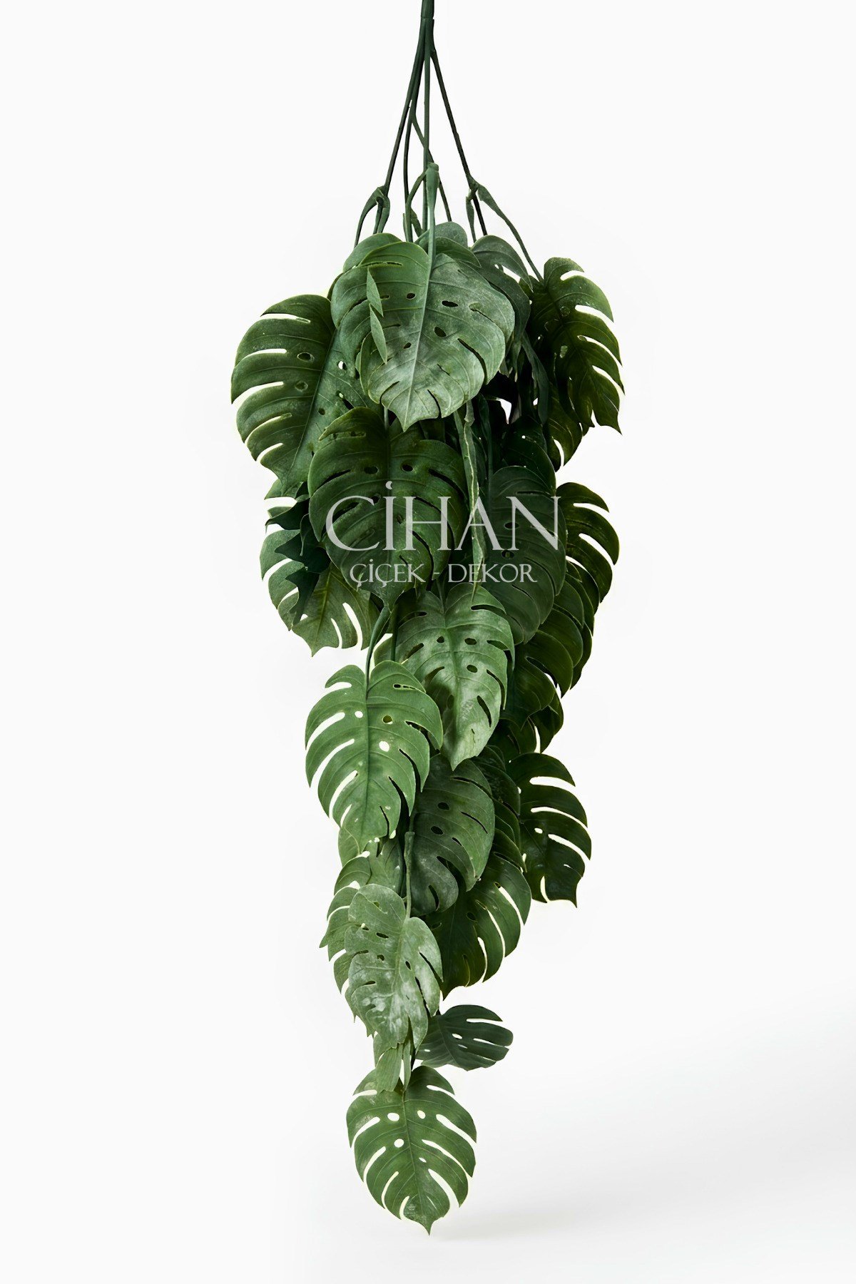 Yapay Sarkan Deve Tabanı (Monstera) Bitkisi 80 cm - Pudralı Sarmaşık