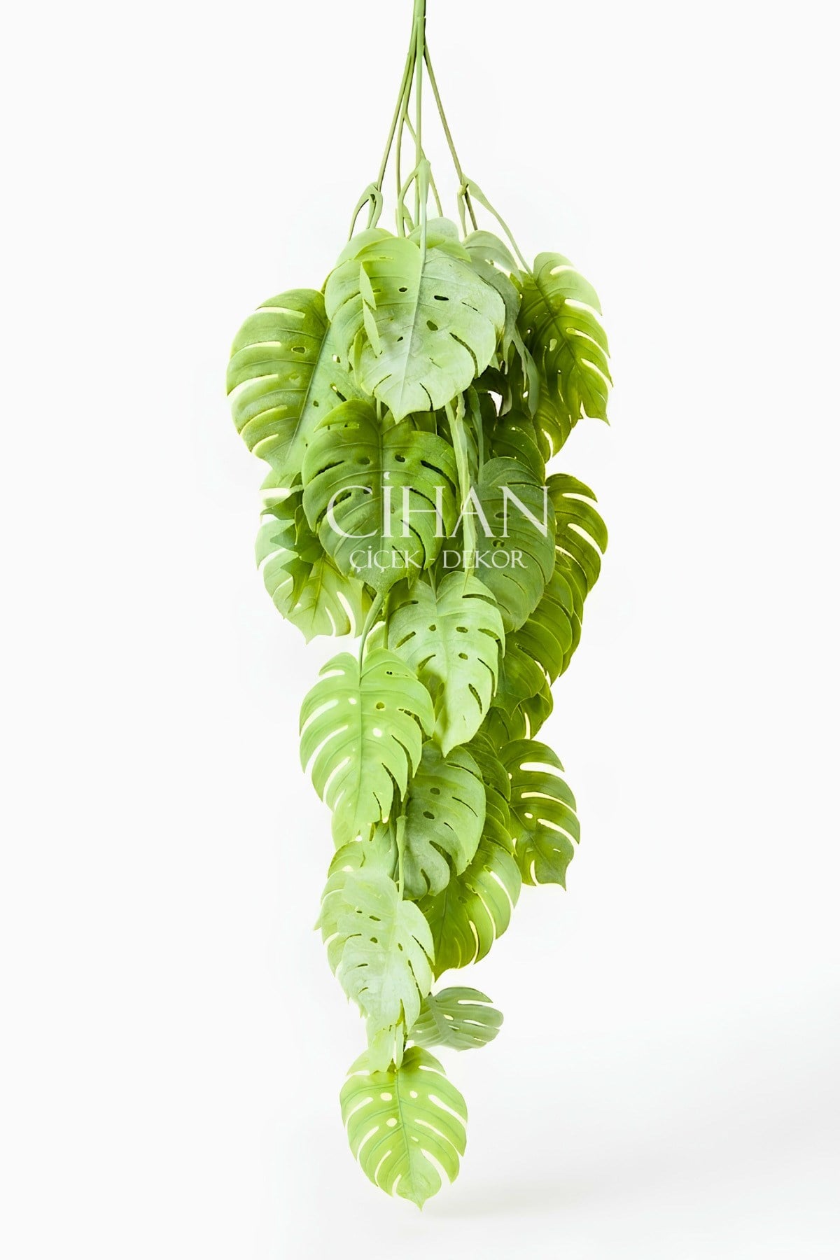 Yapay Sarkan Deve Tabanı (Monstera) Bitkisi 80 cm - Pudralı Sarmaşık