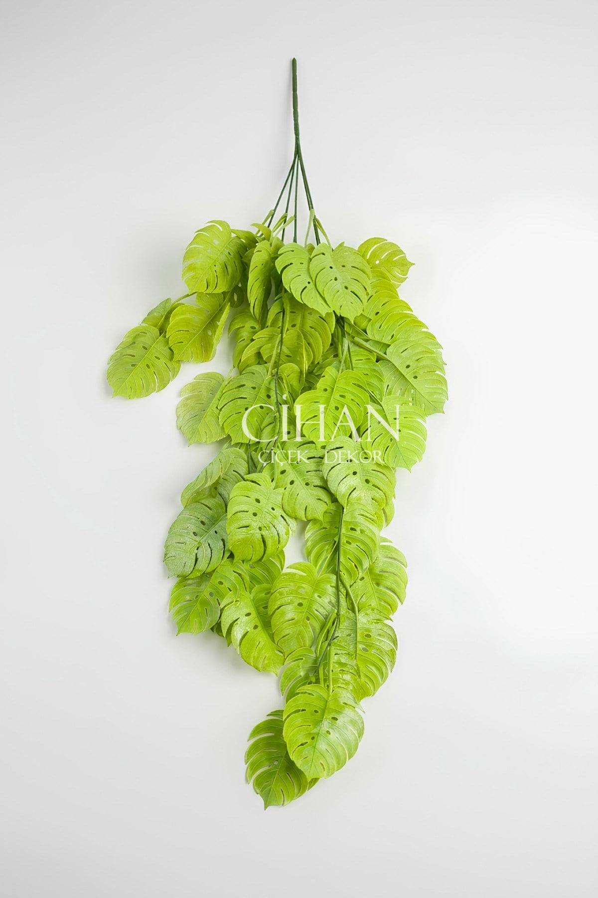 Yapay Sarkan Deve Tabanı (Monstera) Bitkisi 80 cm - Pudralı Sarmaşık