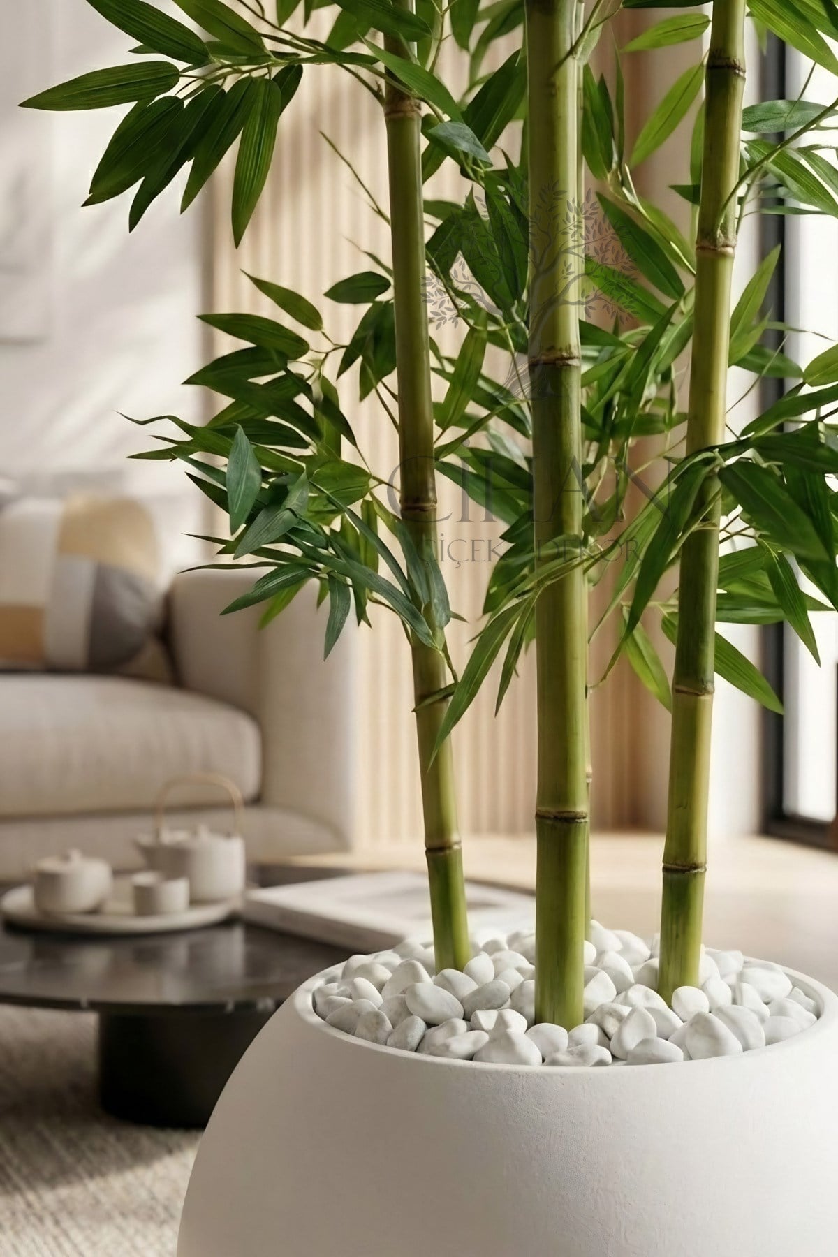 Yapay Yapraklı Bambu Ağacı 4 Bambulu 170 Cm 27*33 Küre Saksı
