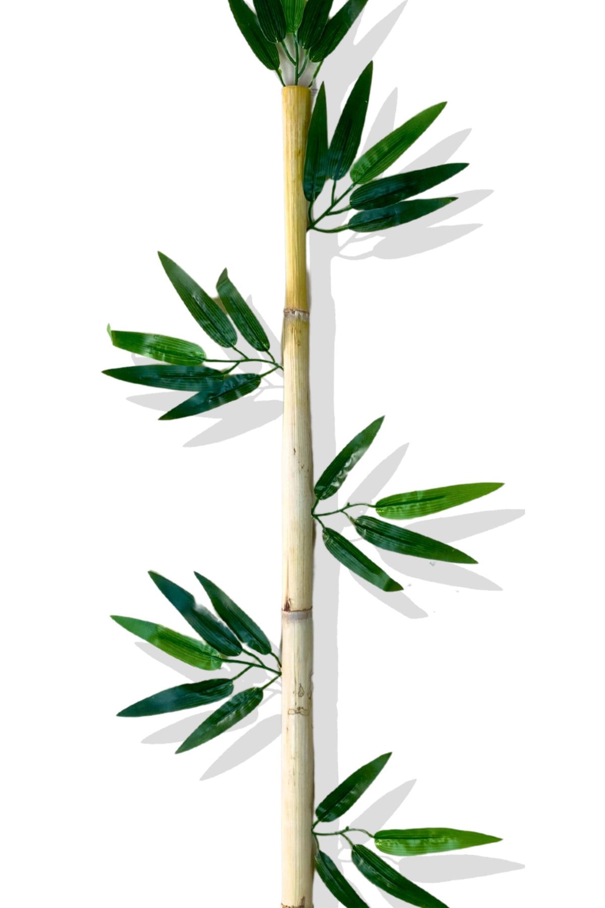 Yapay Yapraklı Dekoratif Bambu Çubuğu 160 Cm 10 Adet Islak Doku