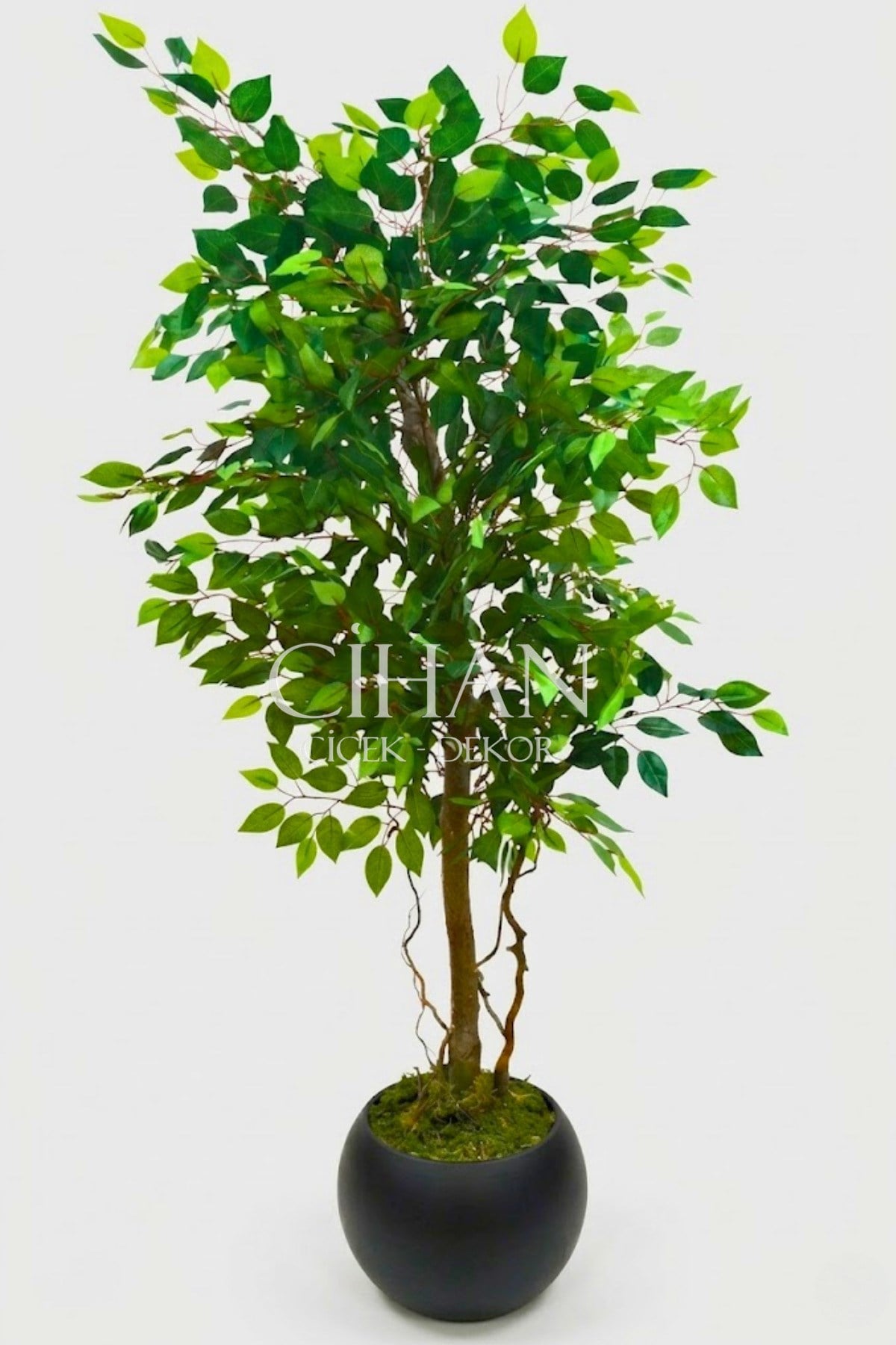 Yapay Yeşil Benjamin Ağacı 150 cm - Küre Saksılı