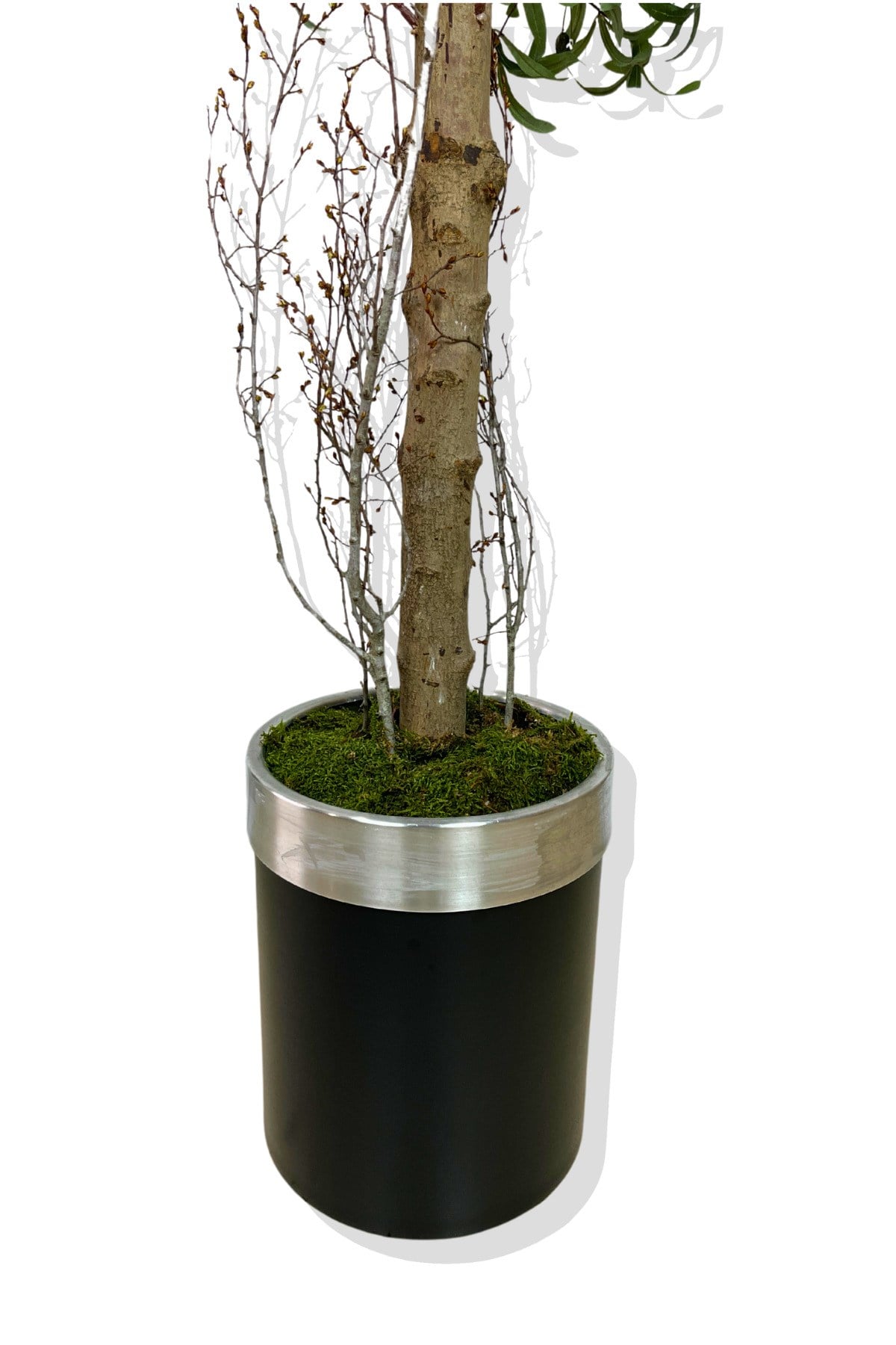Yapay Zeytin Ağacı 180 Cm