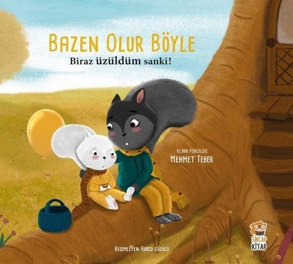 Sincap Kitap Bazen Olur Böyle - Biraz Üzüldüm Sanki!