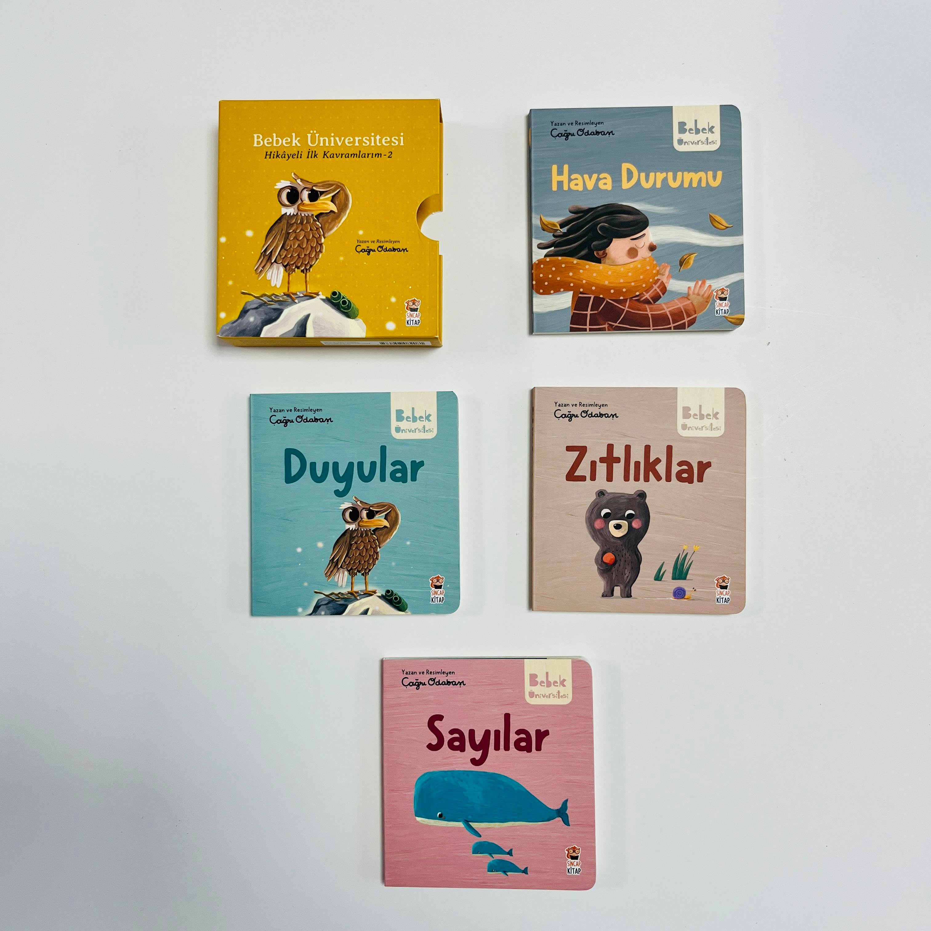 Sincap Kitap Bebek Üniversitesi- Hikayeli İlk Kavramlarım-2