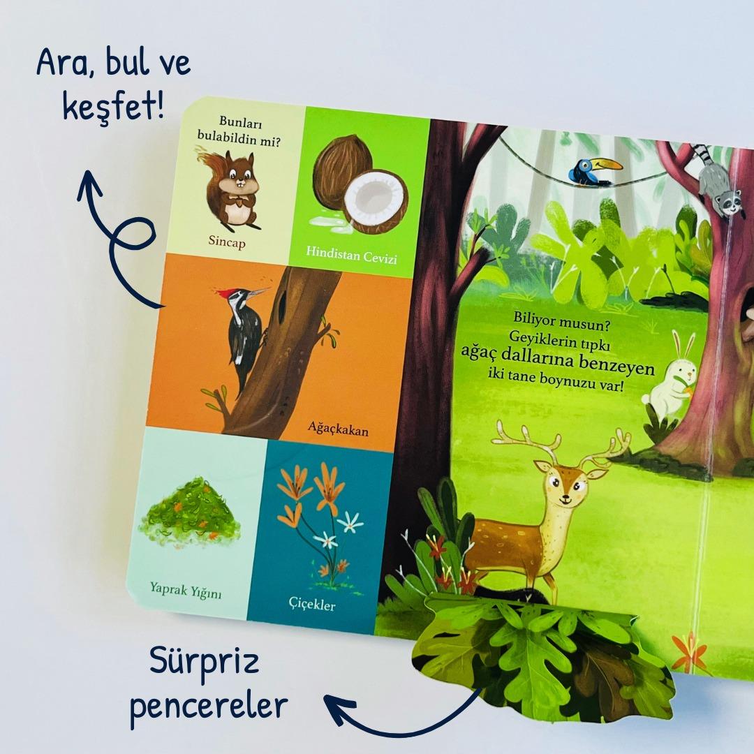 Sincap Kitap Bir Yola Çık - Hayvanlar