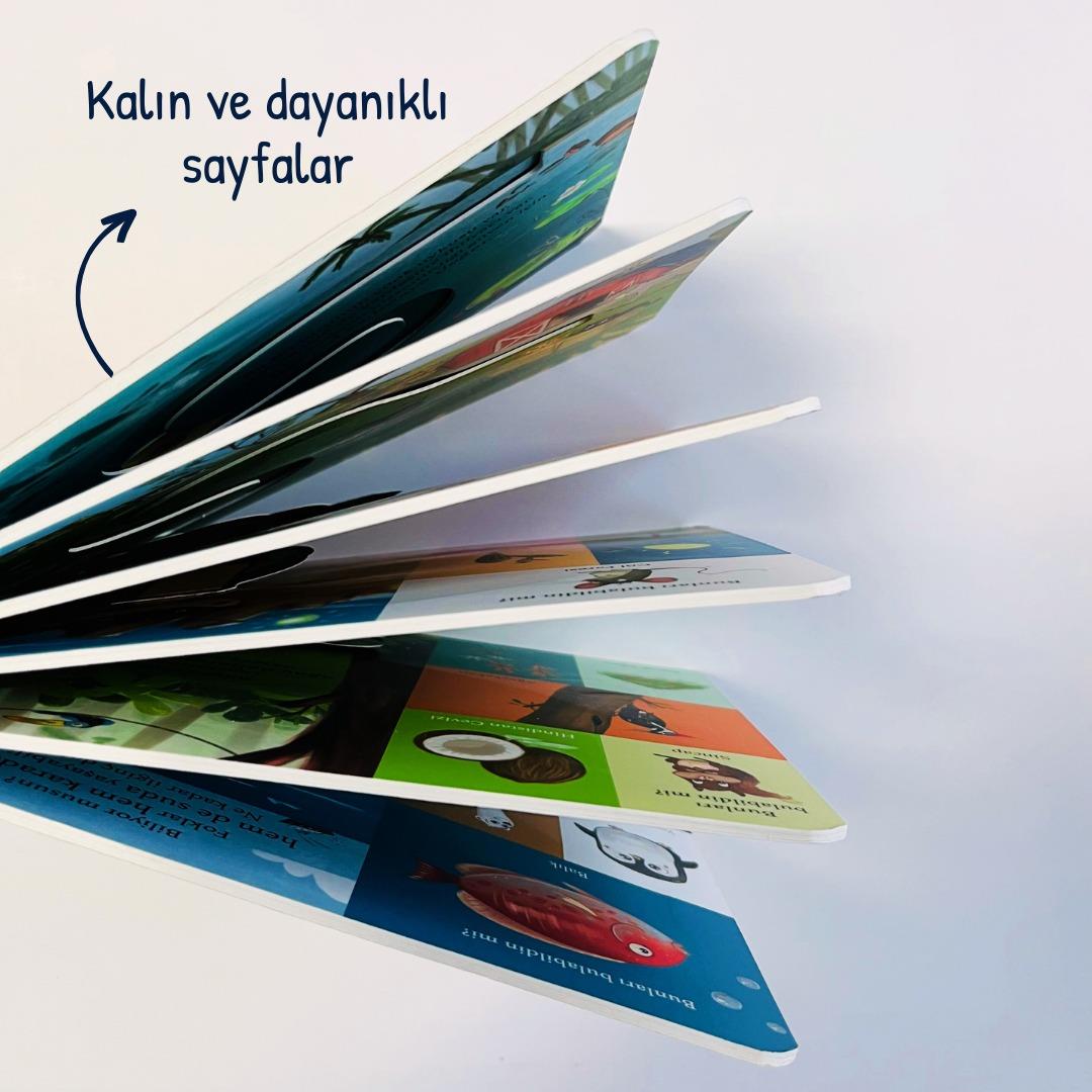 Sincap Kitap Bir Yola Çık - Hayvanlar