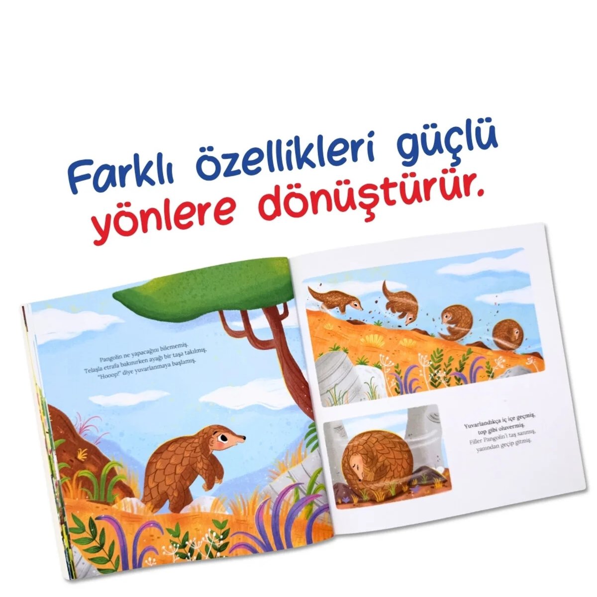 Sincap Kitap Farklıysam Ne Olmuş Bu Sensin Serisi