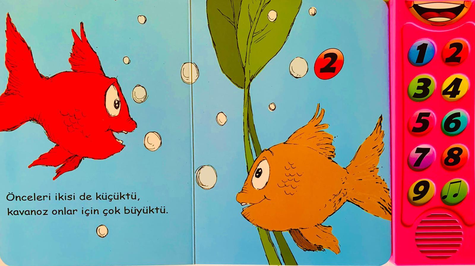 Smarteach Akvaryumdaki Balıklar - Sesli Kitap