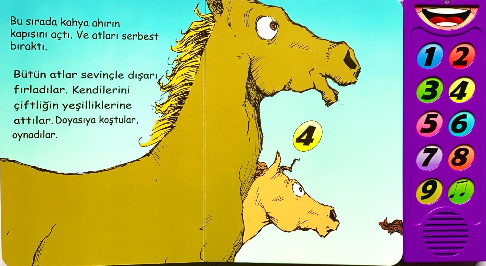 Smarteach Sevimli Atlar - Sesli Kitap