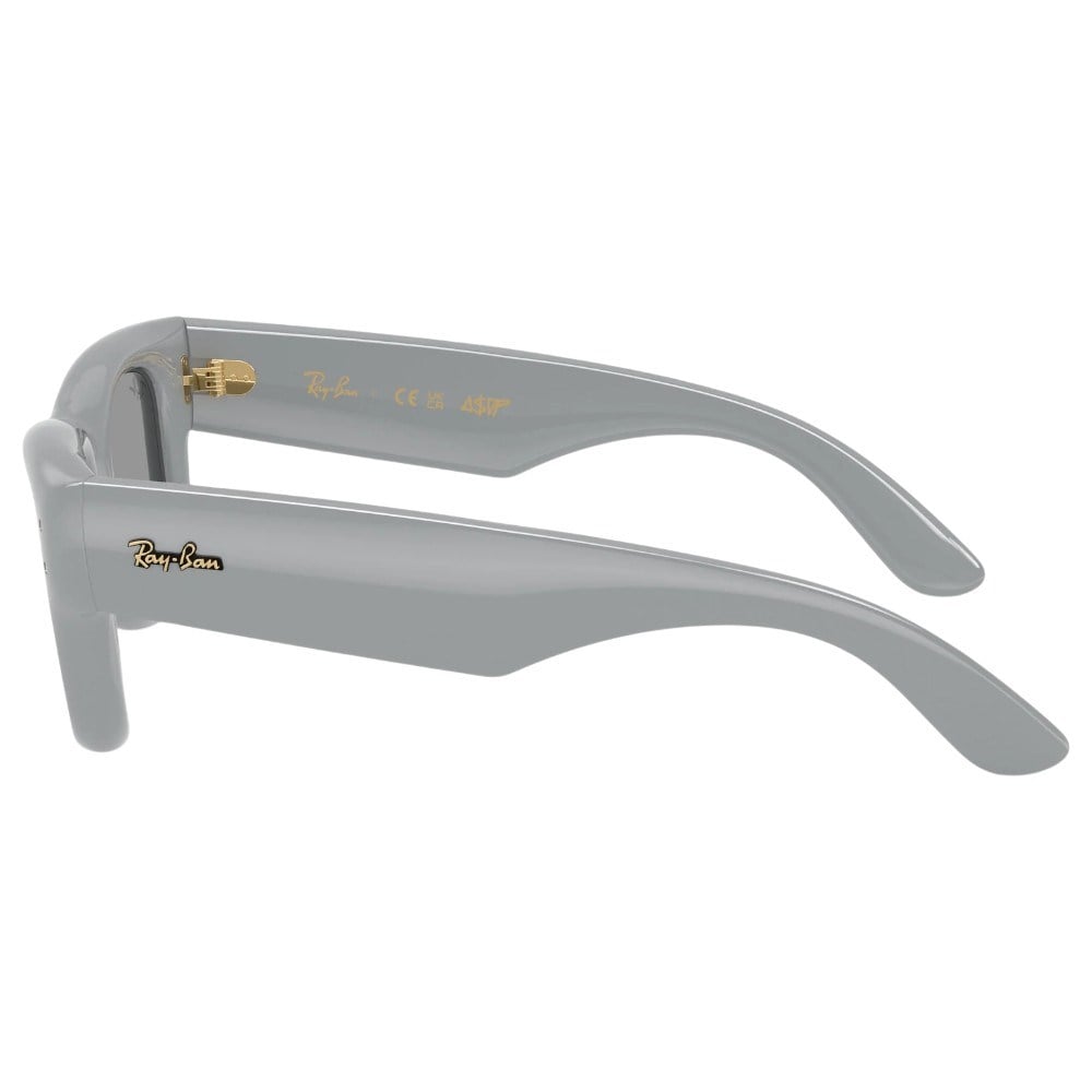 Ray-Ban Orb4940 6876/150 50Hc