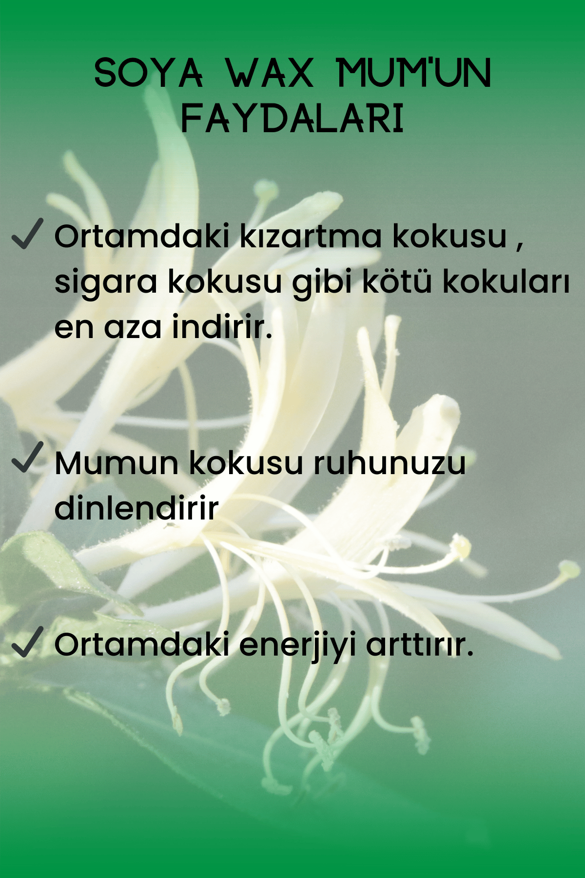 Hanımeli Kokulu Mum 75 cc