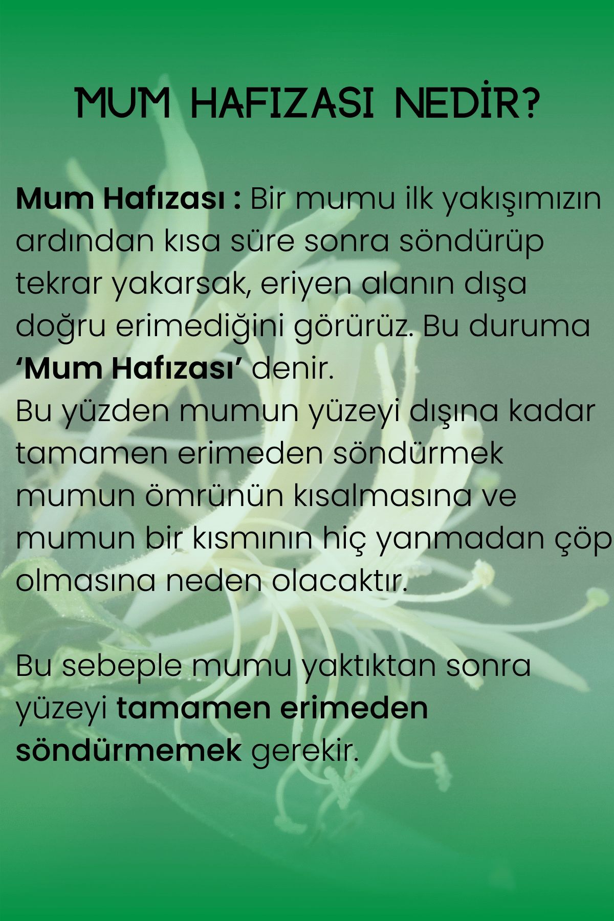 Hanımeli Kokulu Mum 75 cc