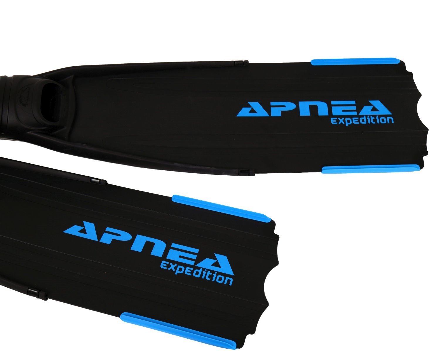 Apnea Expedition  Serbest Dalış Paleti