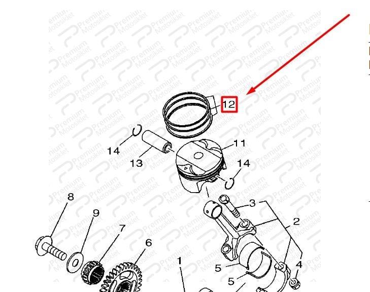 MT 25  SEKMAN SETİ  (1 SET) (2022)