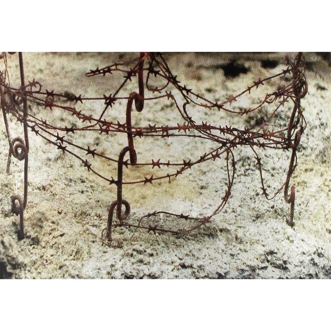 AK 8015 250 ml. Kuru Arazi, Akrilik, Diorama Serisi Zemin Dokusu