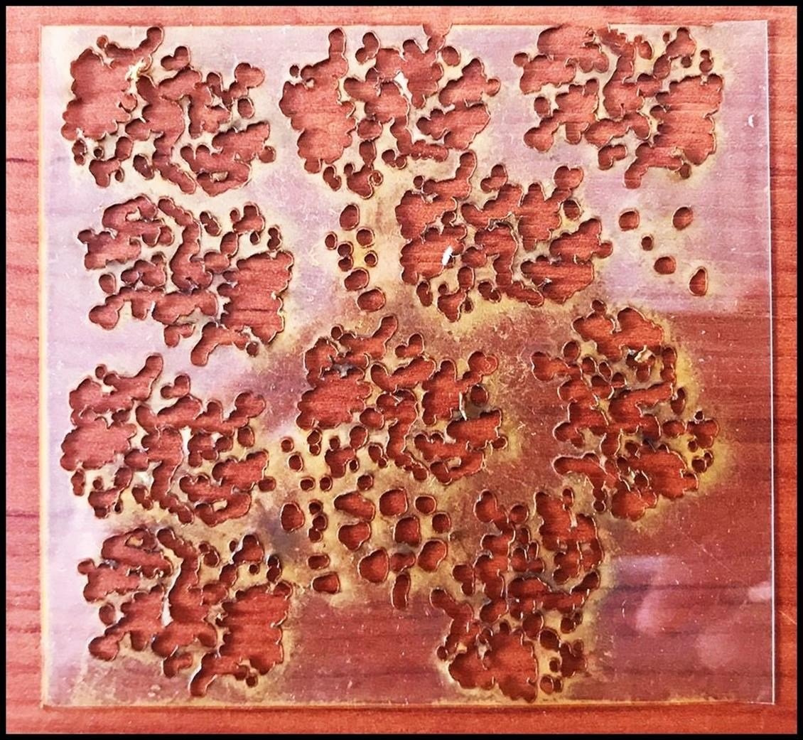 Apollon Model Weathering Stencil Ii
