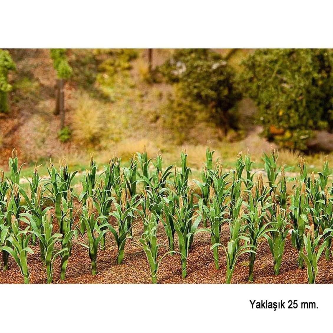 Faller 181250 Mısır Bitkisi, 36 Adet