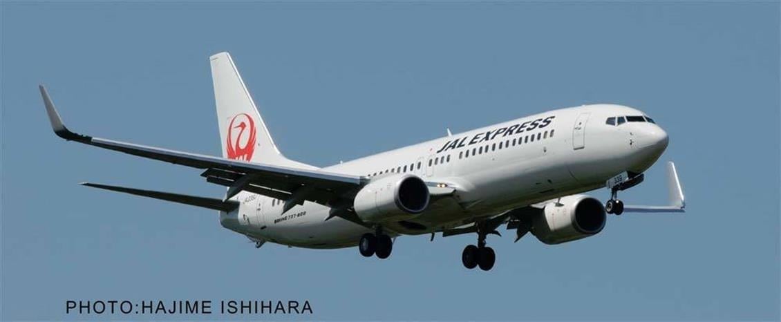 Hasegawa 39 10739 1/200 Ölçek, Boeing 737-800 JAL, Yolcu Uçağı Plastik Model Kiti