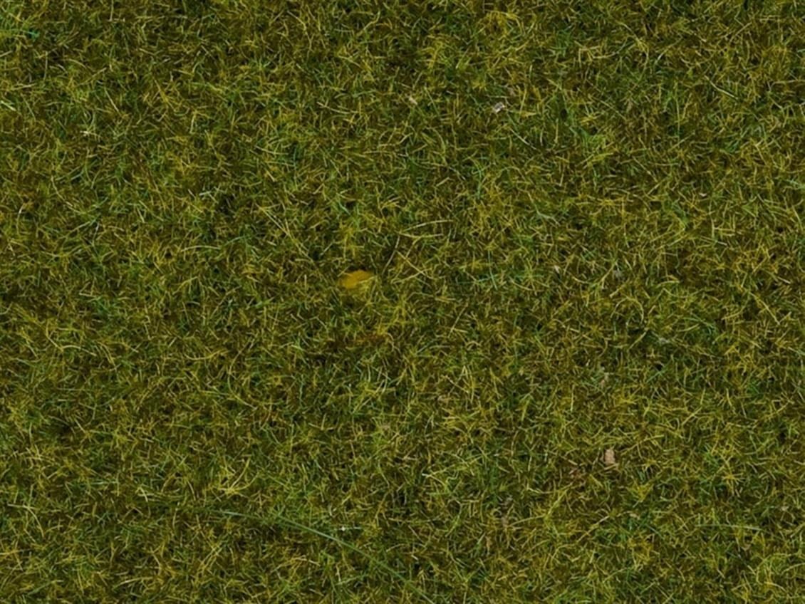 Noch 50220 Statik Çim, Mera Çayırı, 2.5 mm. 100 Gram, Diorama Malzemesi