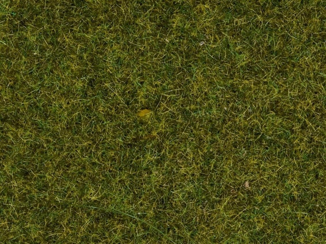 Noch 8212 Statik Kısa Çim, Yaz Çayırı, 1.5 mm, 20 Gram Diorama Malzemesi