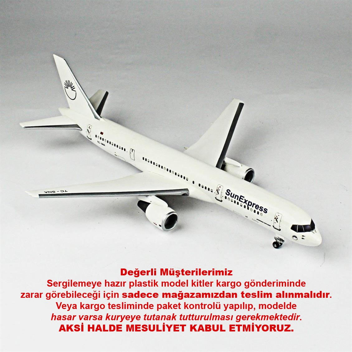 QD154 1/144 Yolcu Uçağı Sergilemeye Hazır Plastik Uçak Modeli