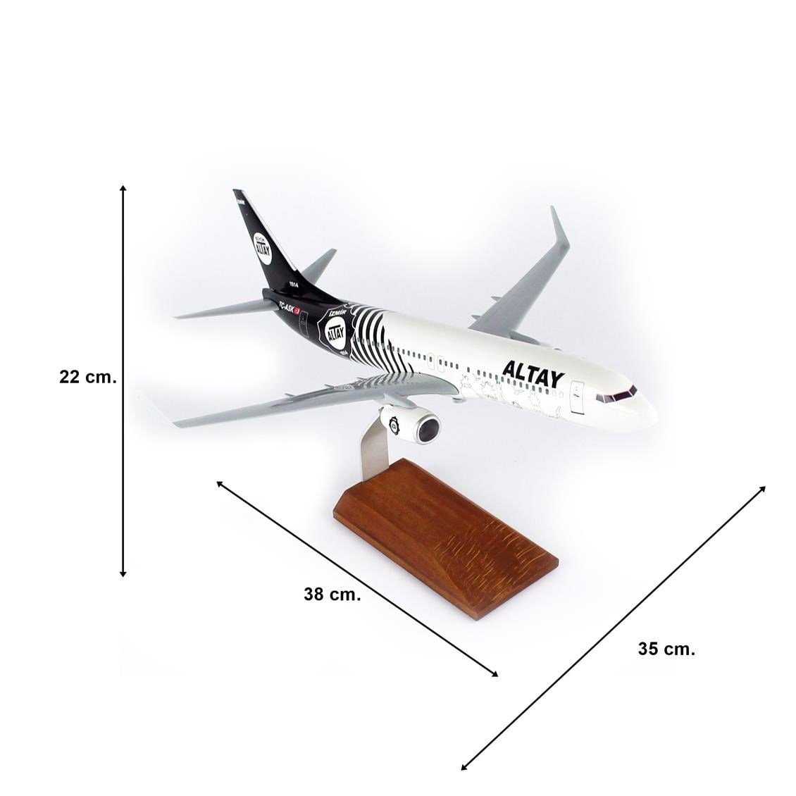THY037 1/100 Ölçek, THY Altay Spor Logolu B737-800 Yolcu Uçağı, Sergilemeye Hazır Ahşap Standlı Model