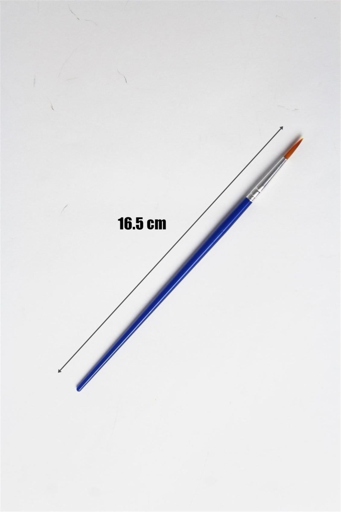 Wingard WG03 Standart Boya Fırçası, Mavi Saplı, 165 mm.