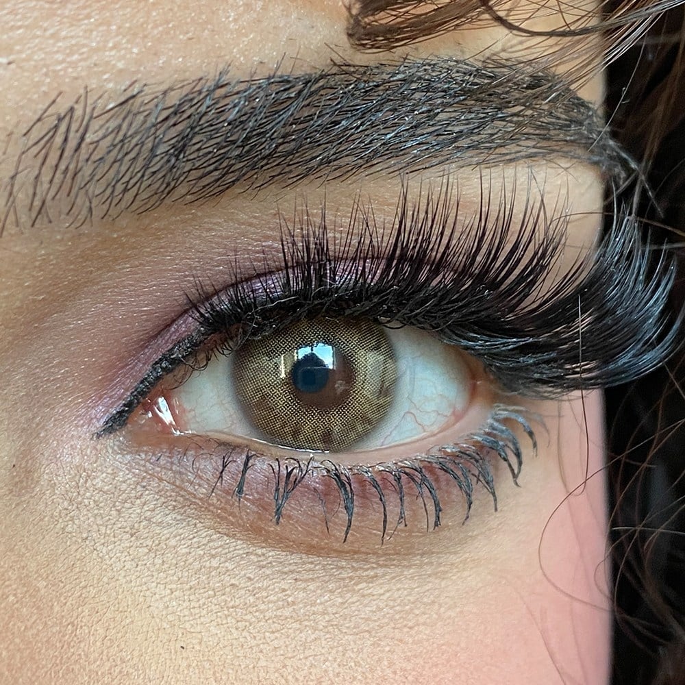 CARIBBEAN HAZEL