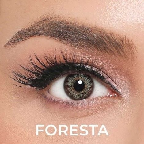 EL ALMORE RETRO NUMARALI FORESTA