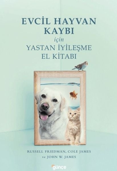 Evcil Hayvan Kaybı İçin Yastan İyileşme