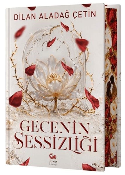 Gecenin Sessizliği