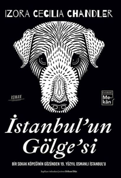 İstanbul'un Gölgesi