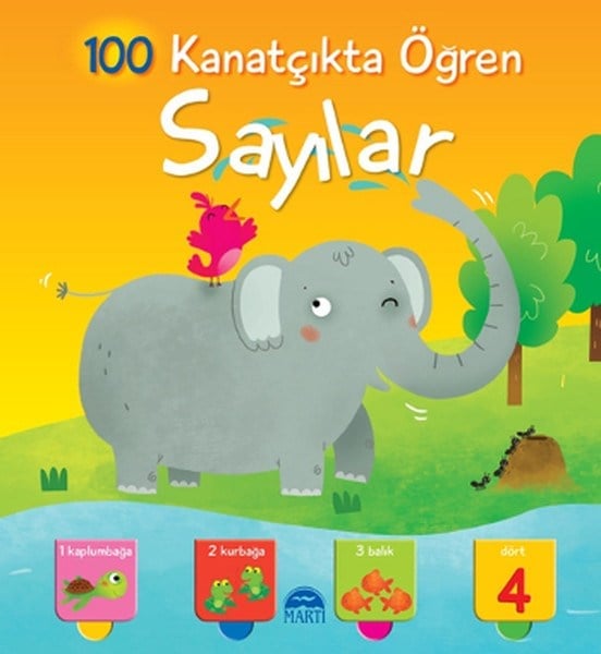 Kanatçıkta Öğren Sayılar