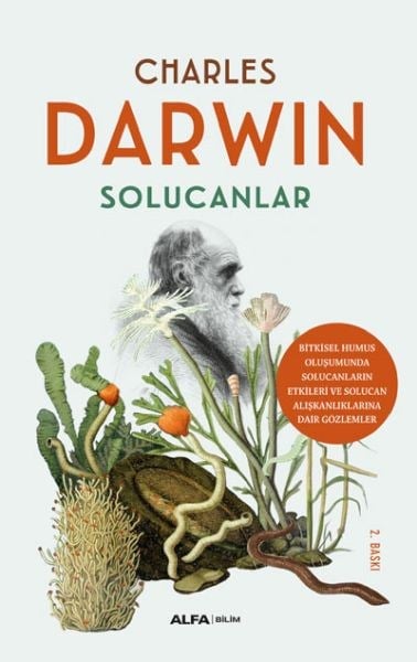 Solucanlar - Bitkisel Humus Oluşumunda Etkileri ve Solucan Alışkanlıklarına Dair Gözlemler