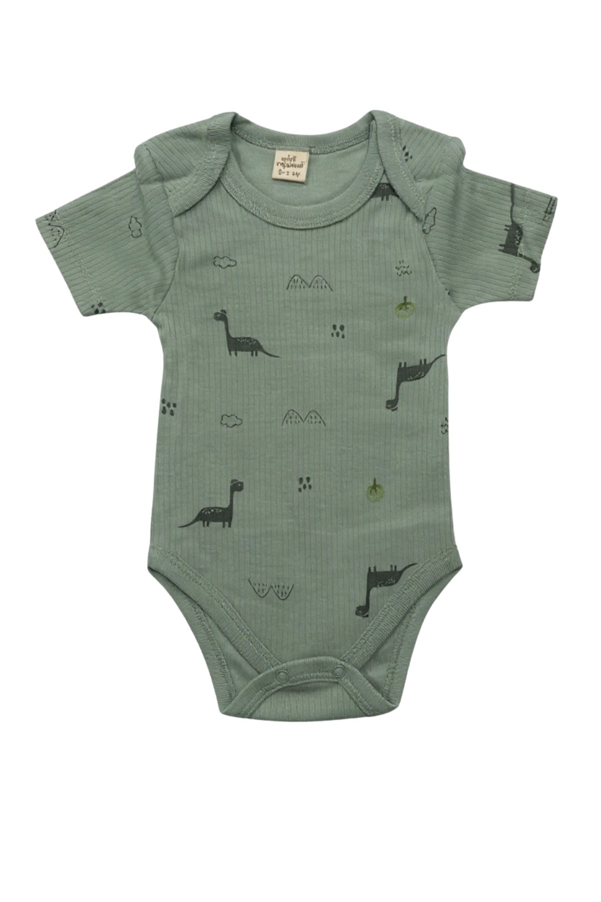 Bebek Dİnazor Desenli Battaniyeli 7'li Hastane Çıkışı Seti