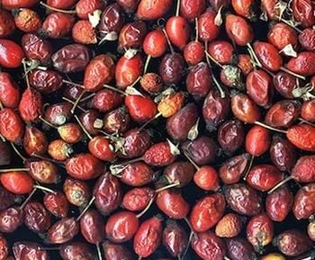 KUŞBURNU KURUSU | 500 gr