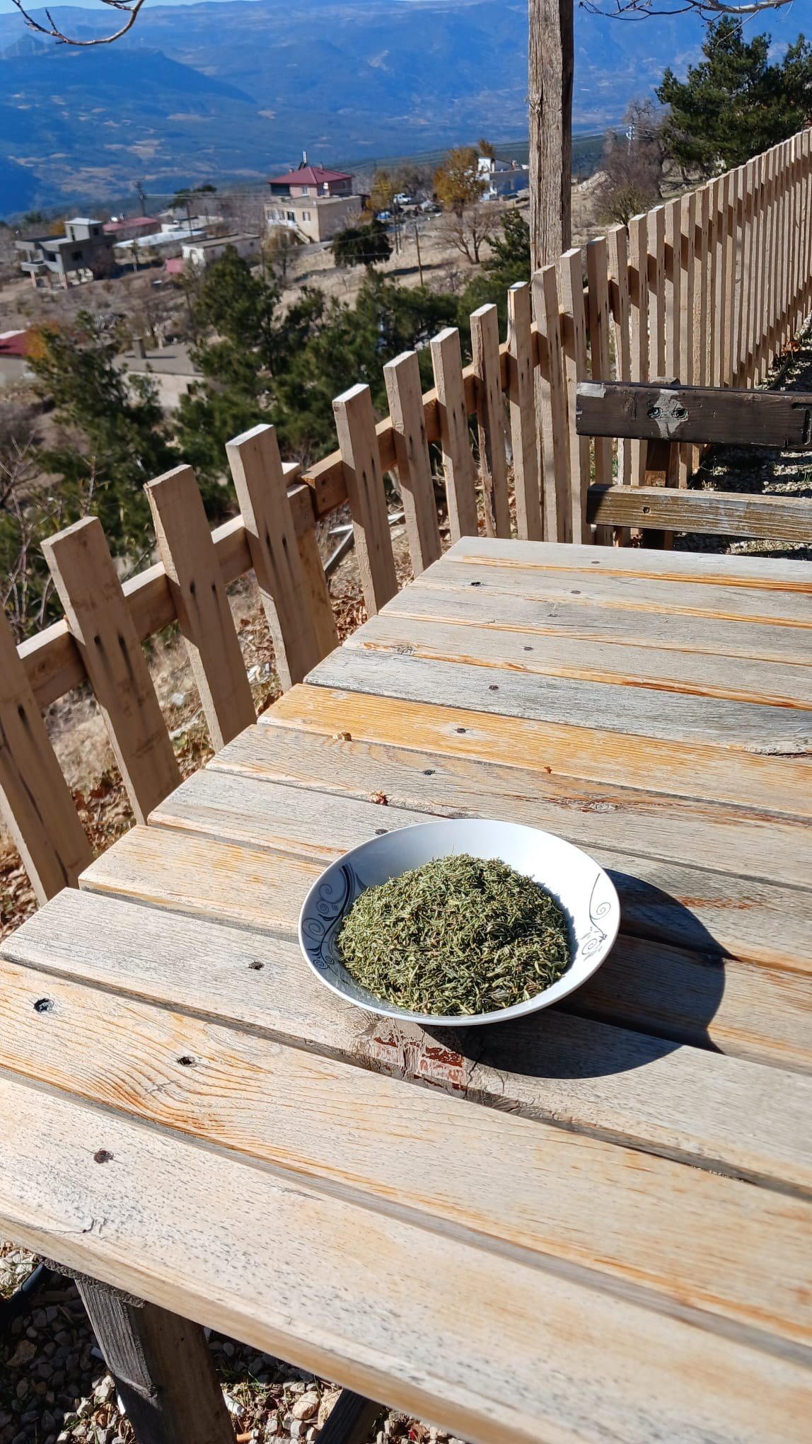 DAĞ KEKİĞİ ORİJİNAL 