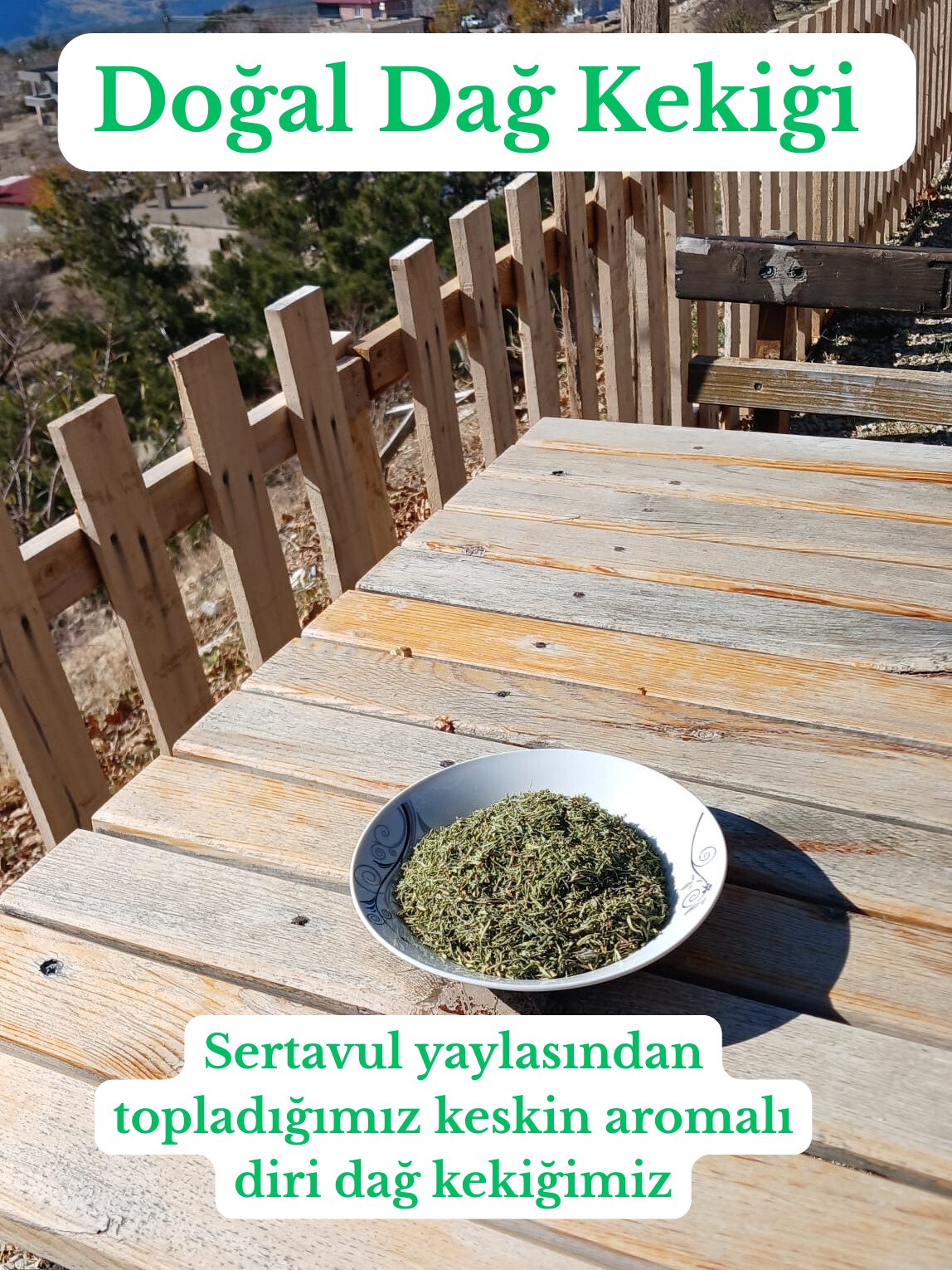 DAĞ KEKİĞİ ORİJİNAL 