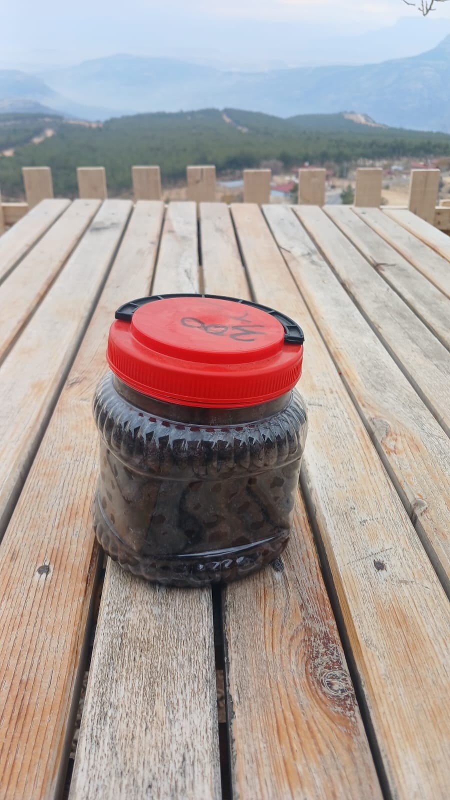 SİYAH ZEYTİN KURU SELE