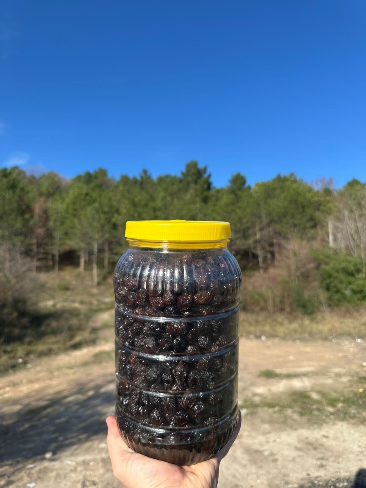 SİYAHSELEZEYTİN2KG