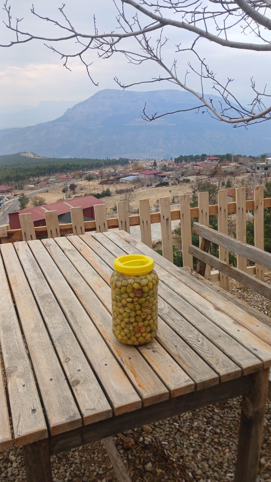 YEŞİL KIRMA ZEYTİN 3 LT PET BİDON