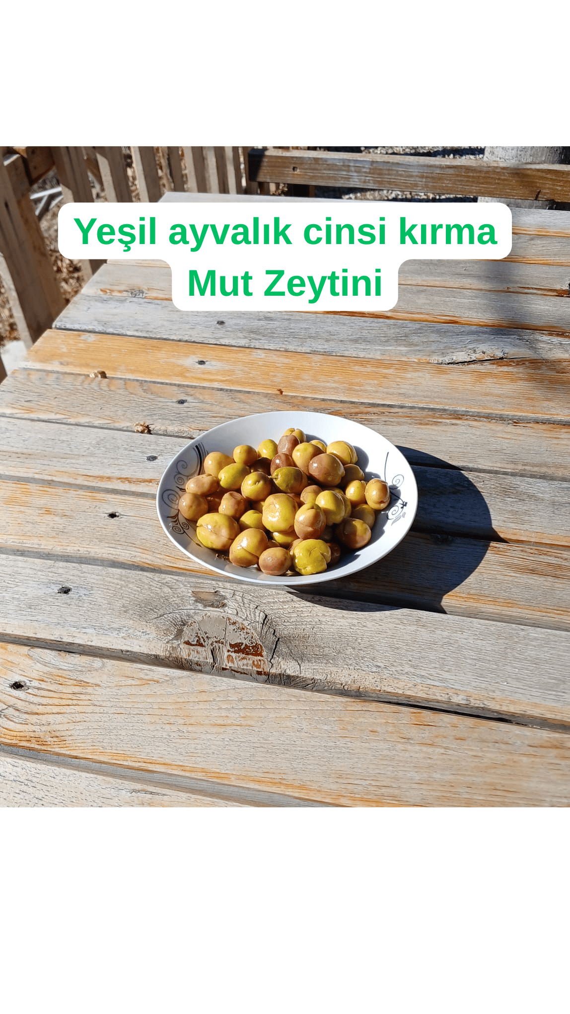 YEŞİL KIRMA ZEYTİN 5 LT PET BİDON