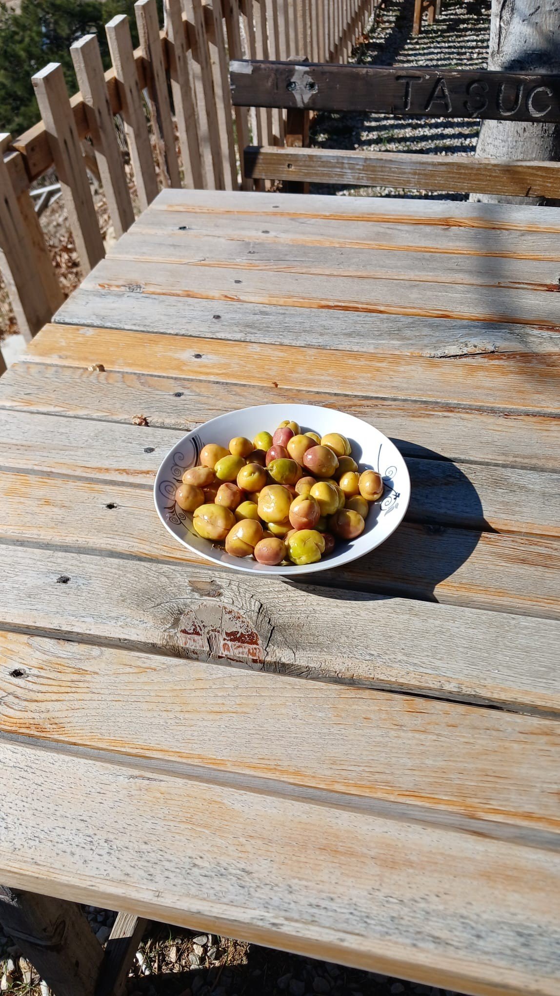 YEŞİL KIRMA ZEYTİN 5 LT PET BİDON