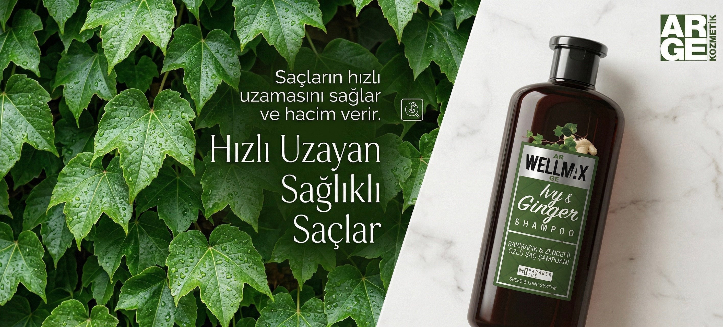  Sarmaşık & Zencefil Özlü Hızlı Uzama Etkili Şampuan – Tuzsuz ve Parabensiz Saç Bakım Şampuanı